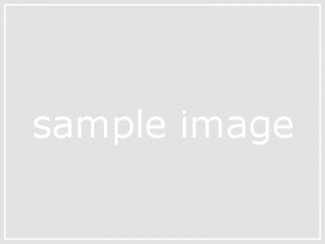 sampleimg